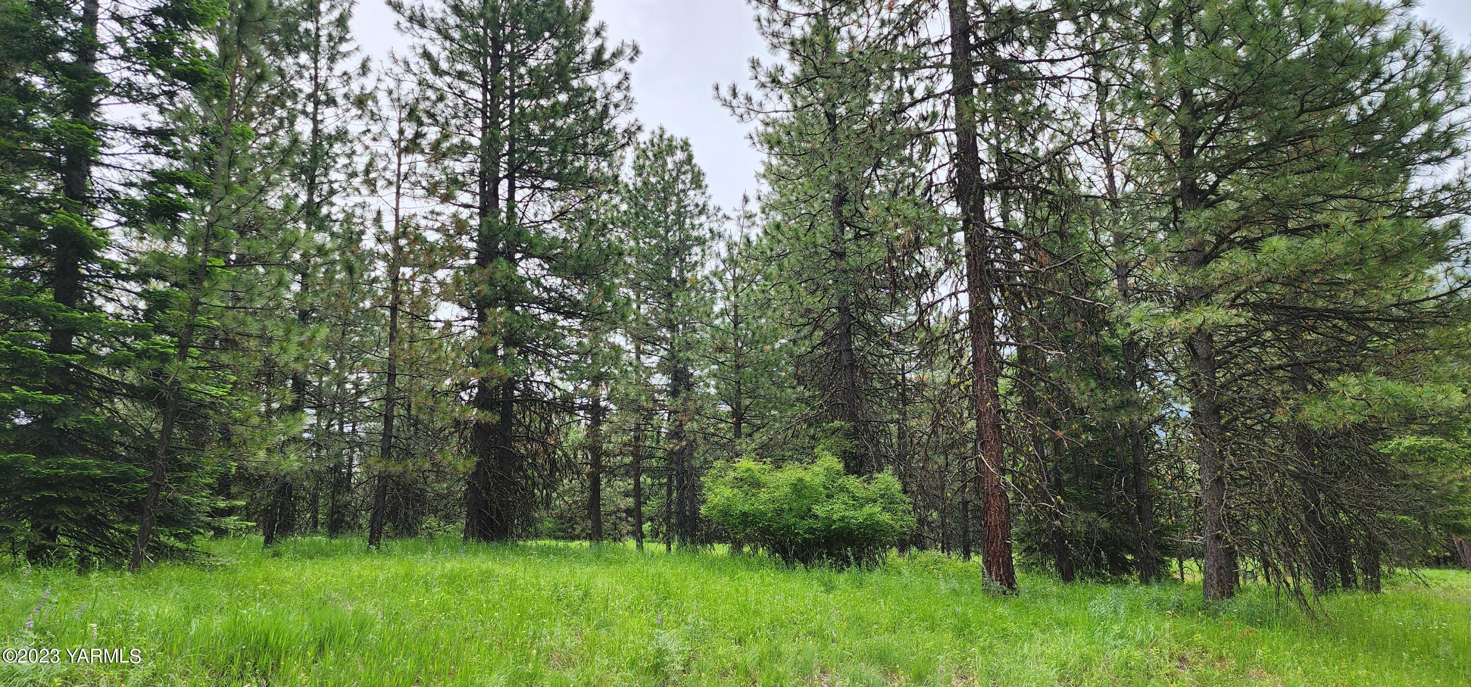 384 Cody Road Anatone, WA 99401 - Photo 25 of 33 a green field with lots of trees