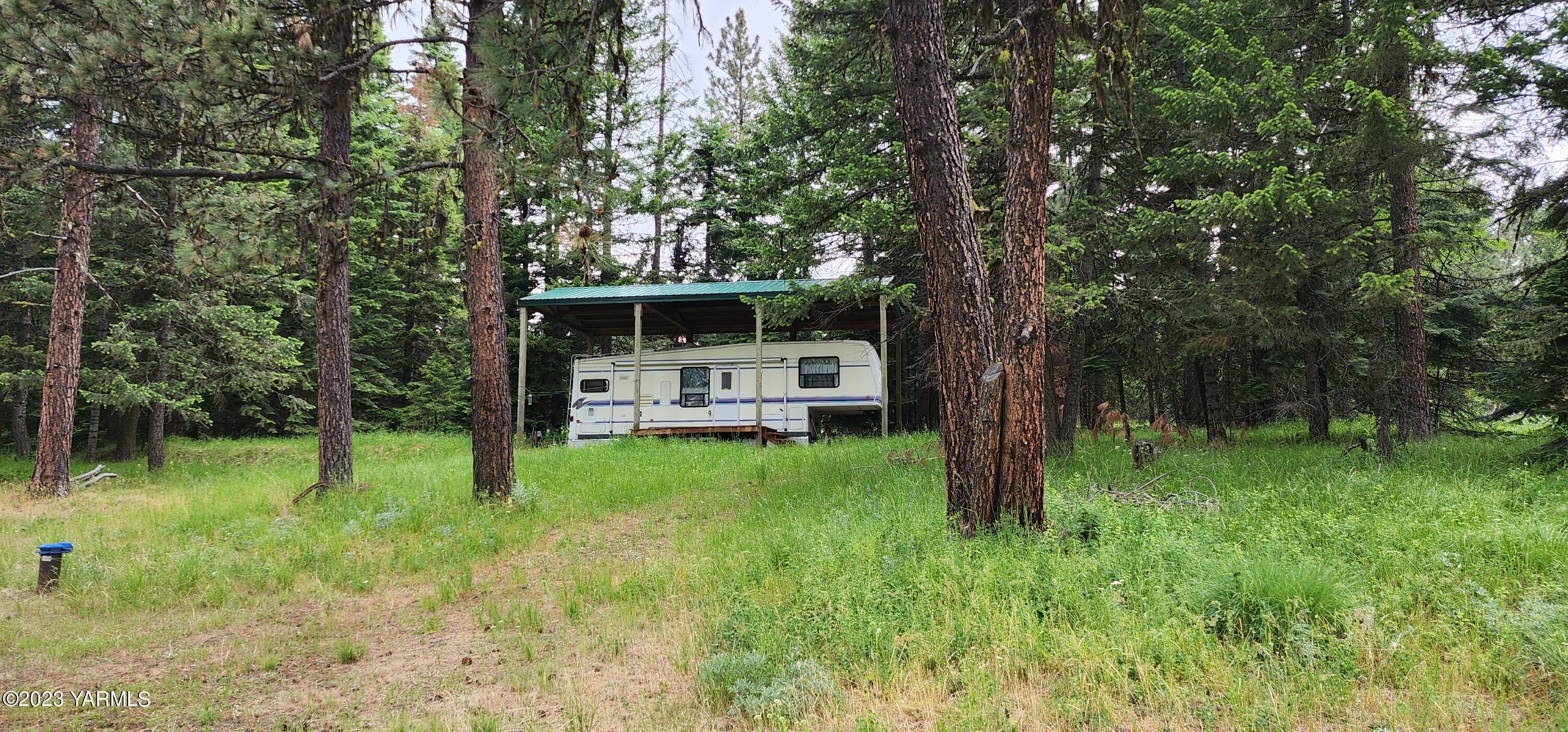 384 Cody Road Anatone, WA 99401 - Photo 3 of 33 a green field with lots of trees