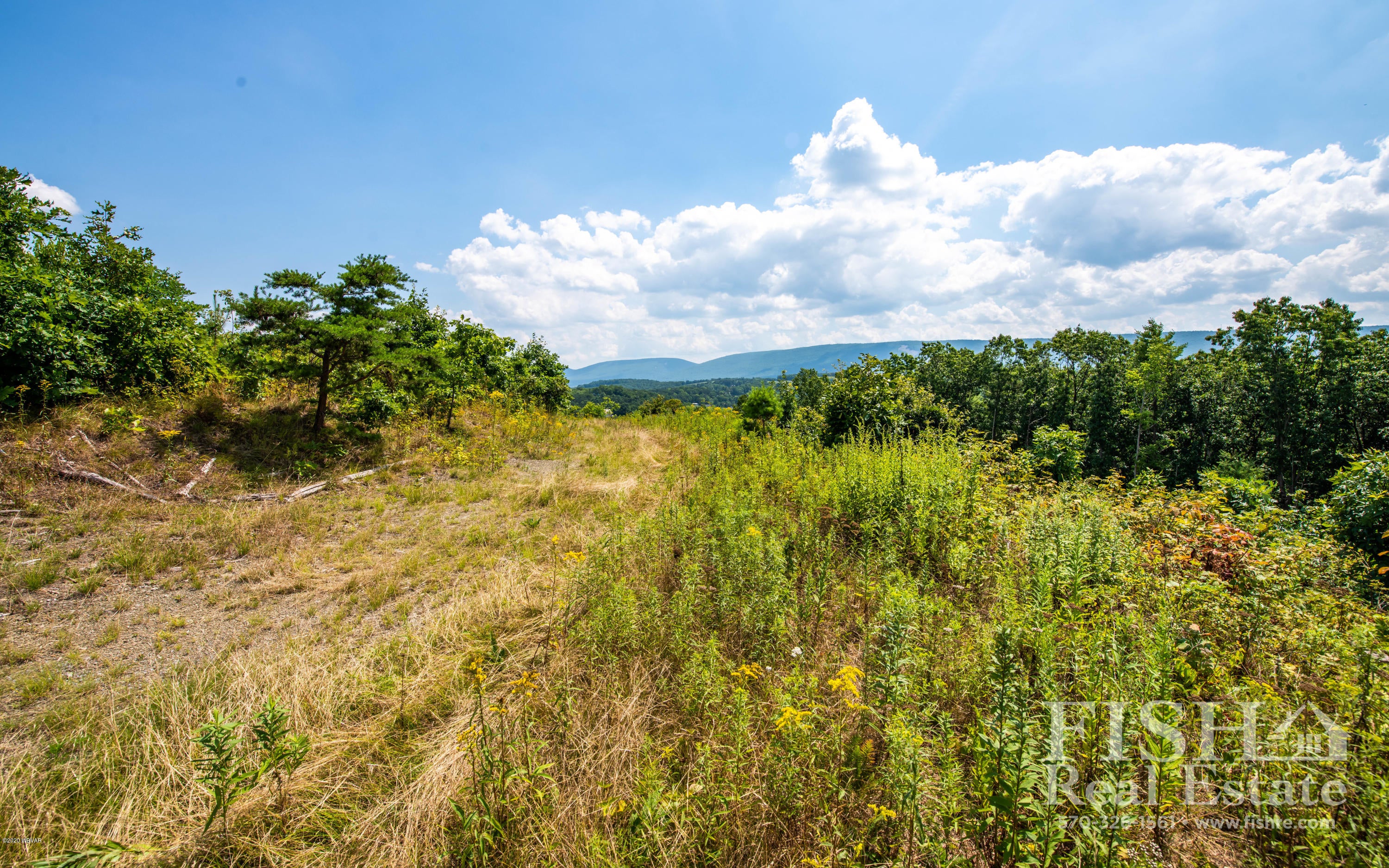 0 Hunter Hollow Road Lock Haven, PA 17745 - Photo 4 of 8 Gallery Image 4