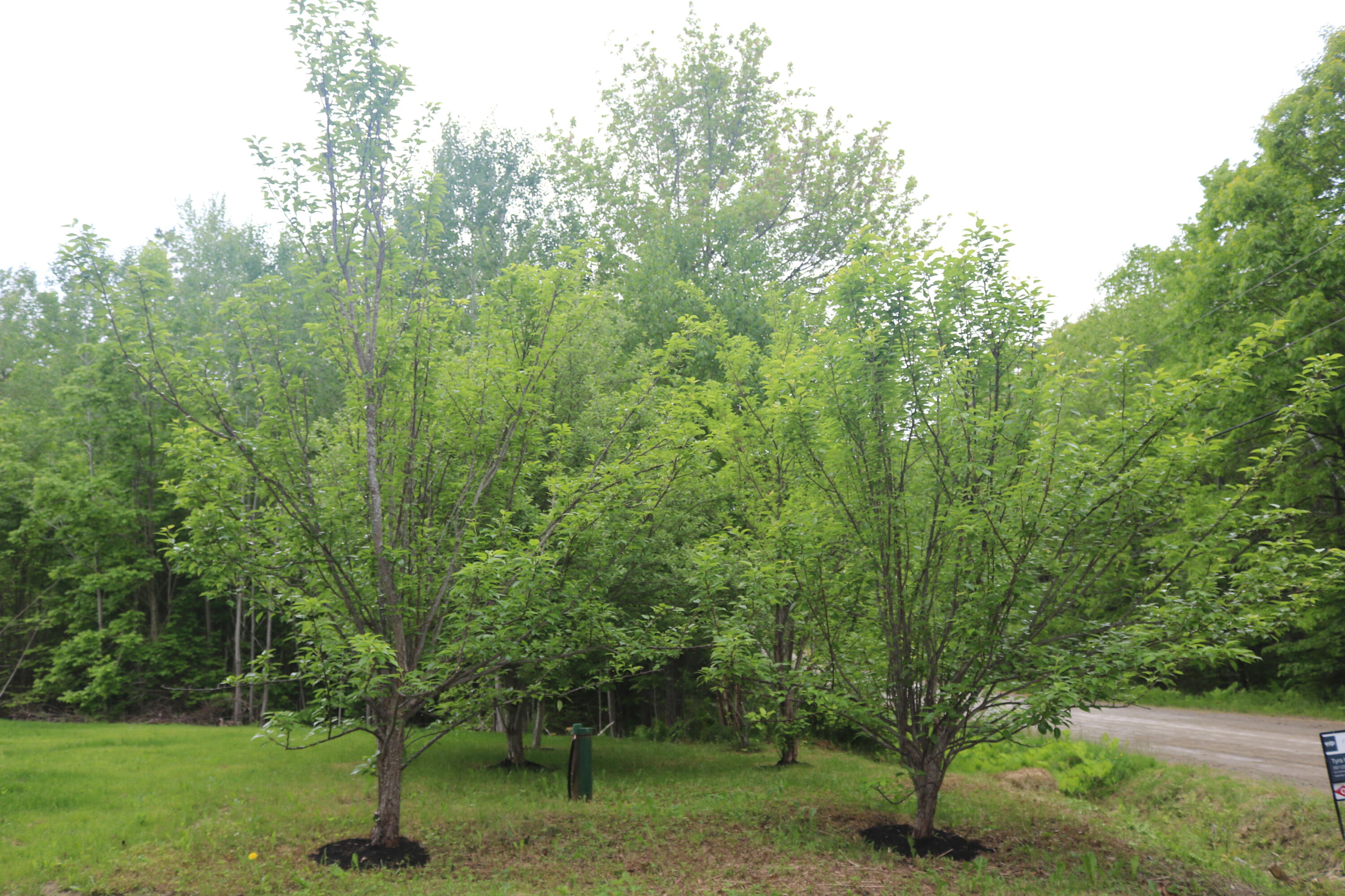 51 White Orchard Road Frankfort, ME 04438 - Photo 29 of 33
