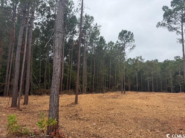 3 A McNabb Road Loris, SC 29569 - Photo 3 of 4 View of tree filled area