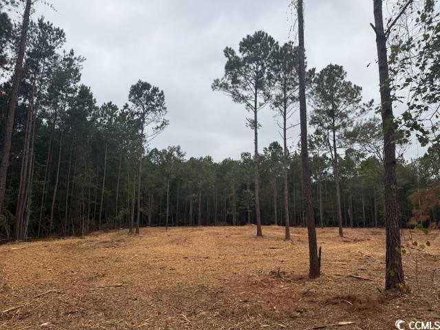 3 A McNabb Road Loris, SC 29569 - Photo 4 of 4 View of woods