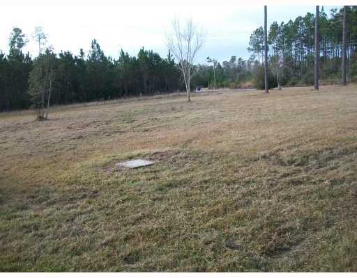 12412 Jim Ramsay Road Vancleave, MS 39565 - Photo 6 of 6 Additional Photo