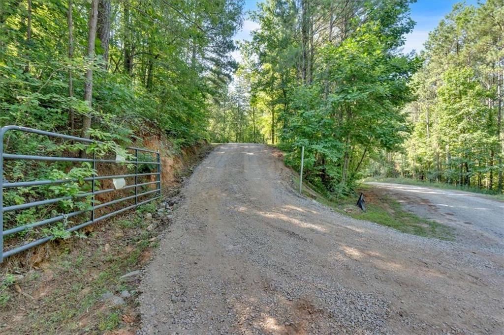 196 Whitestone Drive Talking Rock, GA 30175 - Photo 38 of 62 a view of a yard with large trees
