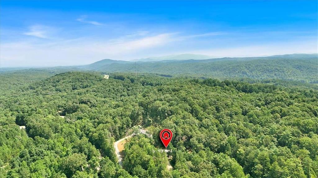 196 Whitestone Drive Talking Rock, GA 30175 - Photo 42 of 62