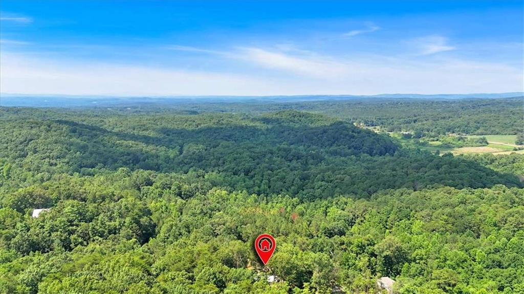 196 Whitestone Drive Talking Rock, GA 30175 - Photo 43 of 62 a view of a outdoor space and a yard