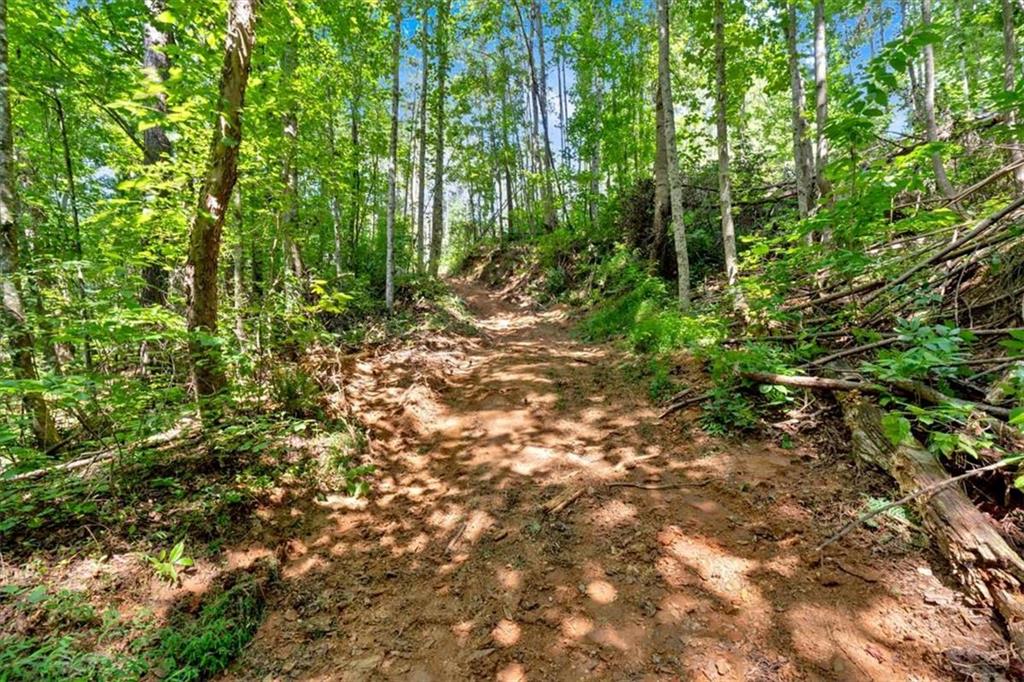 196 Whitestone Drive Talking Rock, GA 30175 - Photo 46 of 62