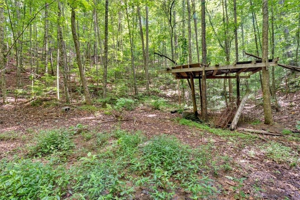 196 Whitestone Drive Talking Rock, GA 30175 - Photo 48 of 62