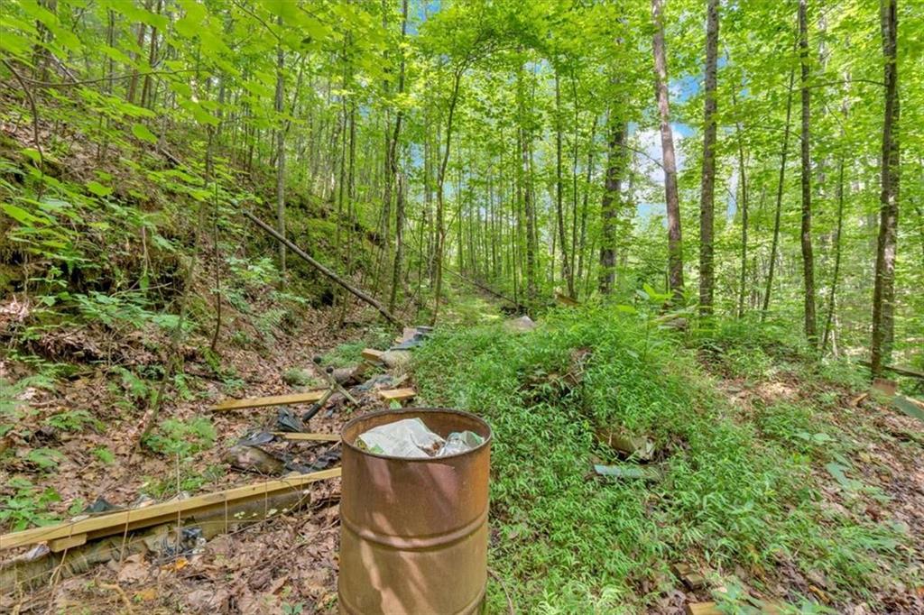 196 Whitestone Drive Talking Rock, GA 30175 - Photo 49 of 62