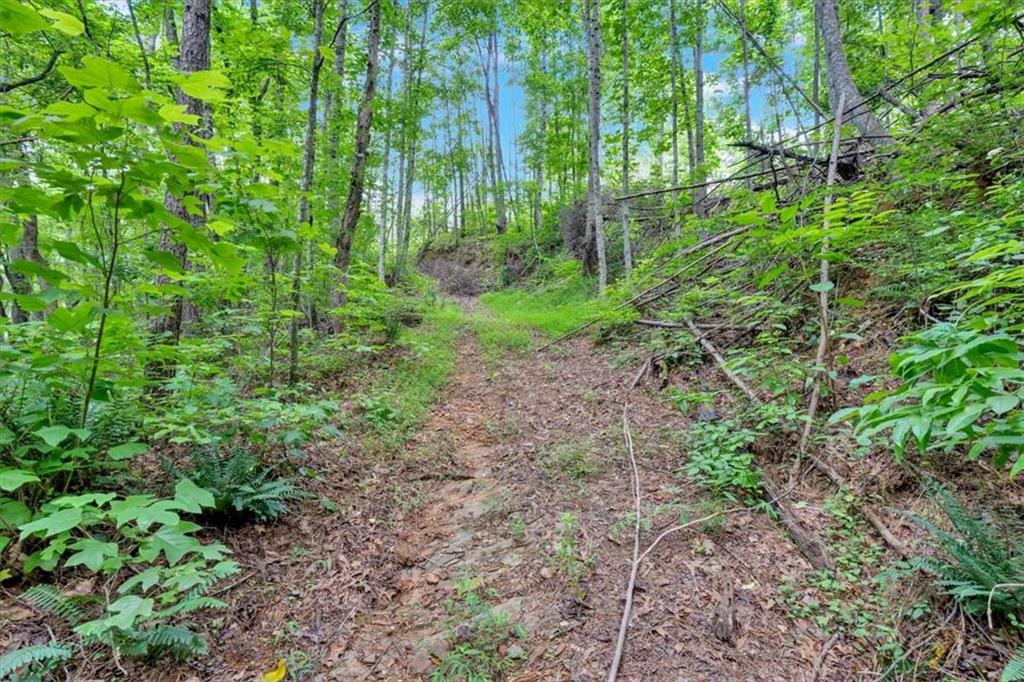 196 Whitestone Drive Talking Rock, GA 30175 - Photo 50 of 62 a view of yard