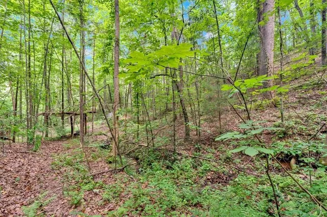 $392,900 | 196 Whitestone Drive, Talking Rock, GA 30175