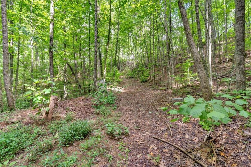 196 Whitestone Drive Talking Rock, GA 30175 - Photo 52 of 62