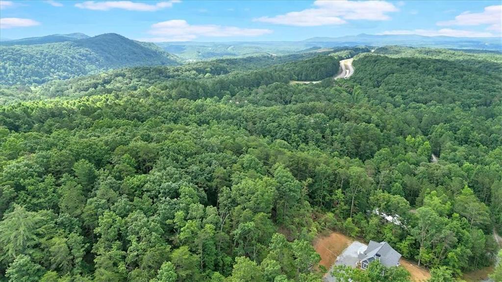 196 Whitestone Drive Talking Rock, GA 30175 - Photo 56 of 62 a view of a lush green field with a view of mountains in the background