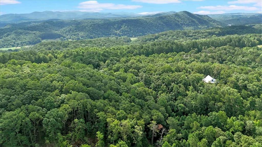 196 Whitestone Drive Talking Rock, GA 30175 - Photo 58 of 62 a view of a lush green forest with a mountain and a mountain view