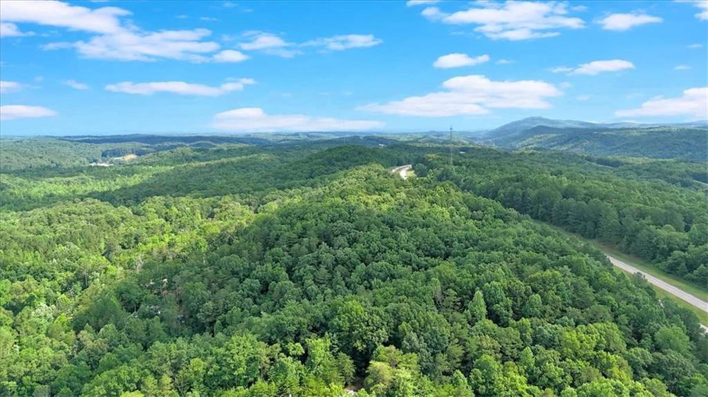 196 Whitestone Drive Talking Rock, GA 30175 - Photo 59 of 62 a view of a green field