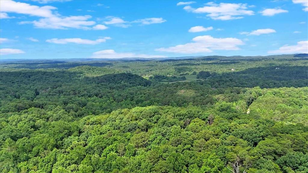 196 Whitestone Drive Talking Rock, GA 30175 - Photo 60 of 62 a view of a green field
