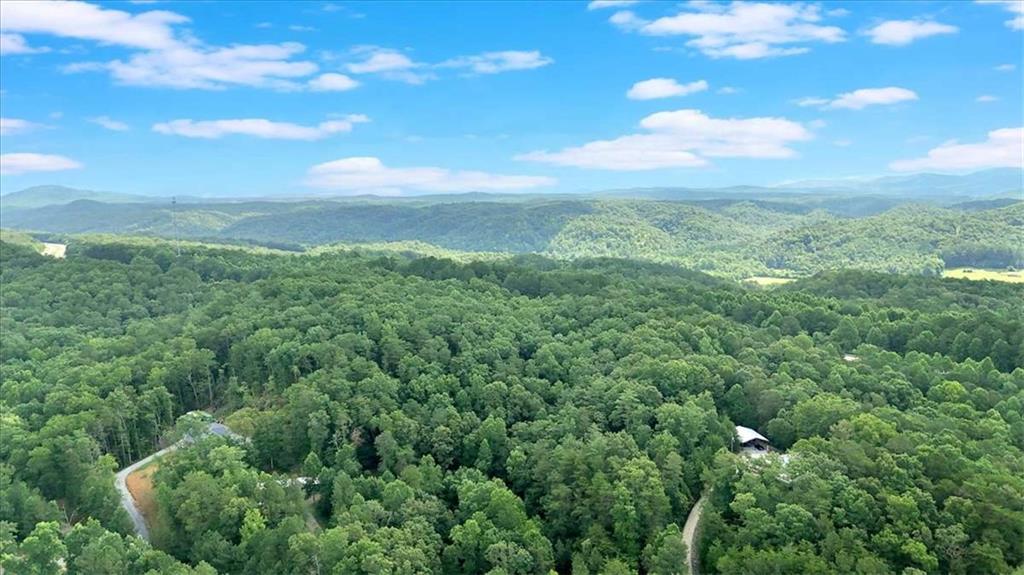 196 Whitestone Drive Talking Rock, GA 30175 - Photo 61 of 62 a view of a green yard