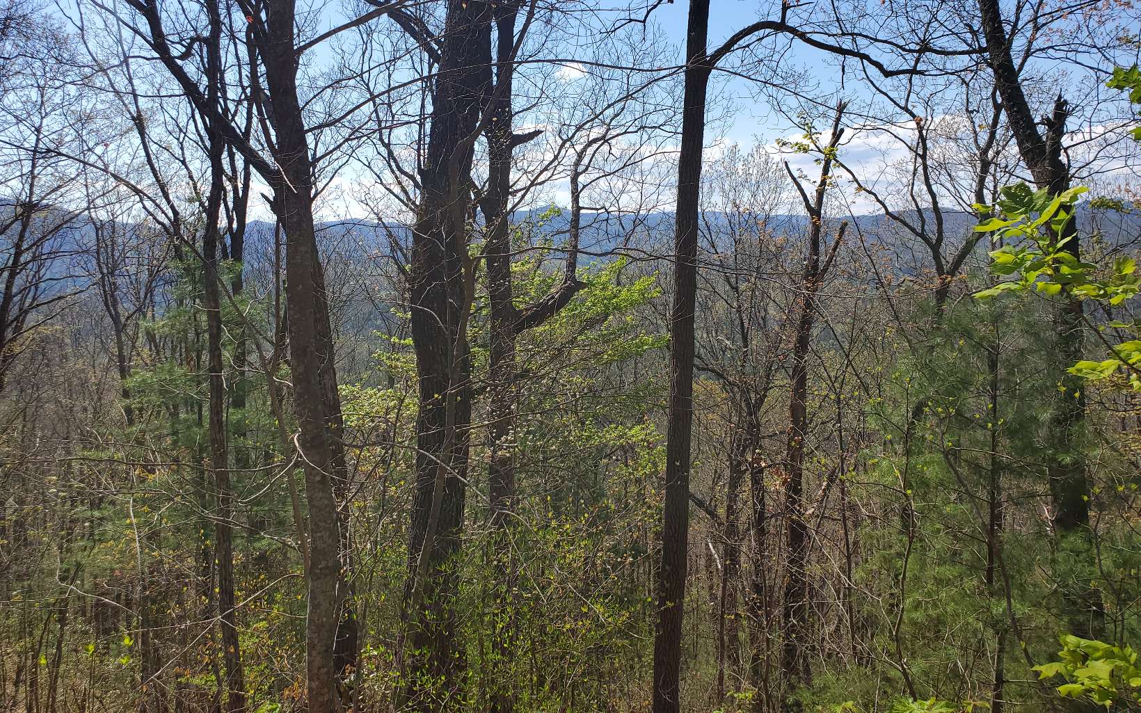 33 Cohutta Drive Blue Ridge, GA 30513 - Photo 1 of 1 Main View