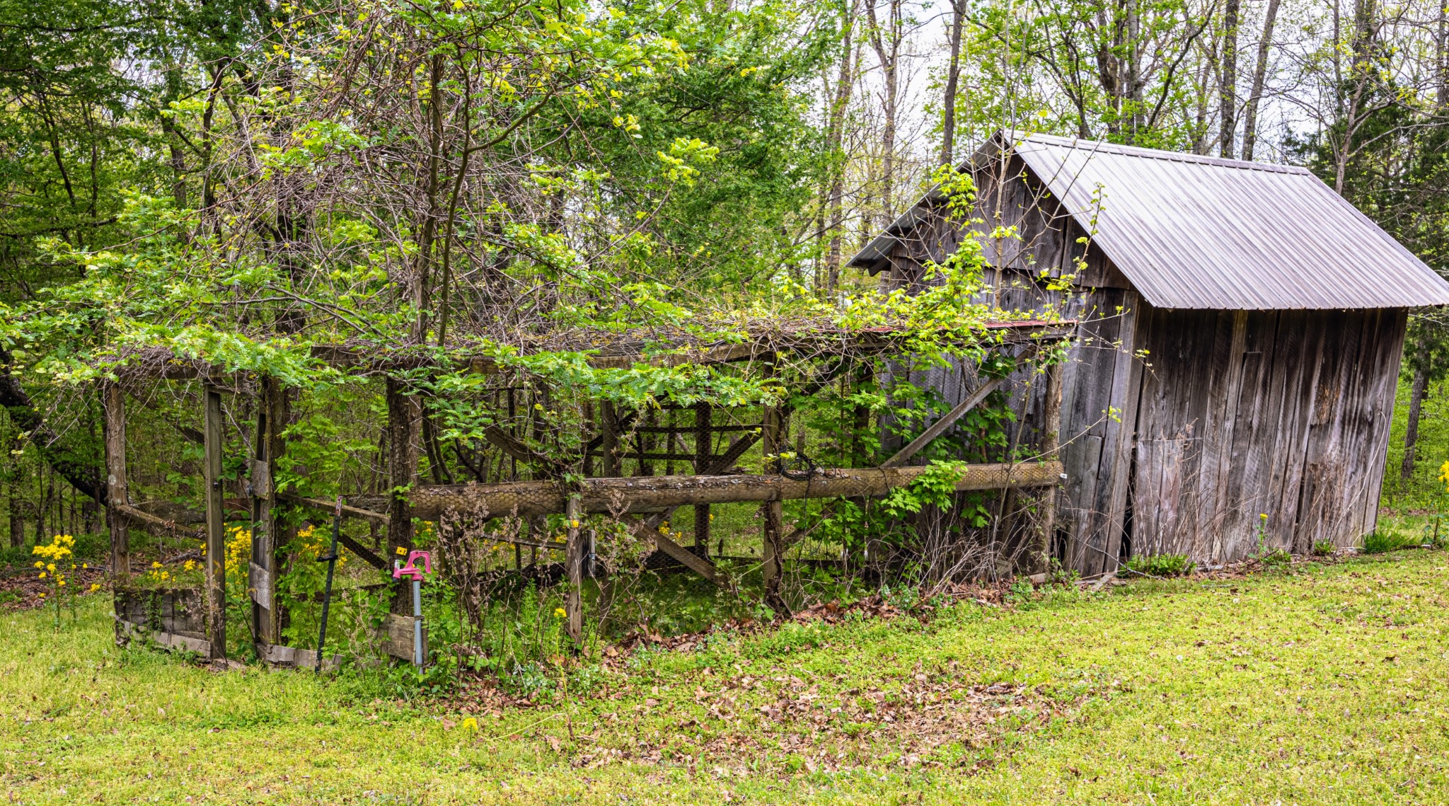 772 Salmon Branch Road Erin, TN 37061 - Photo 49 of 52 Gallery Image 49
