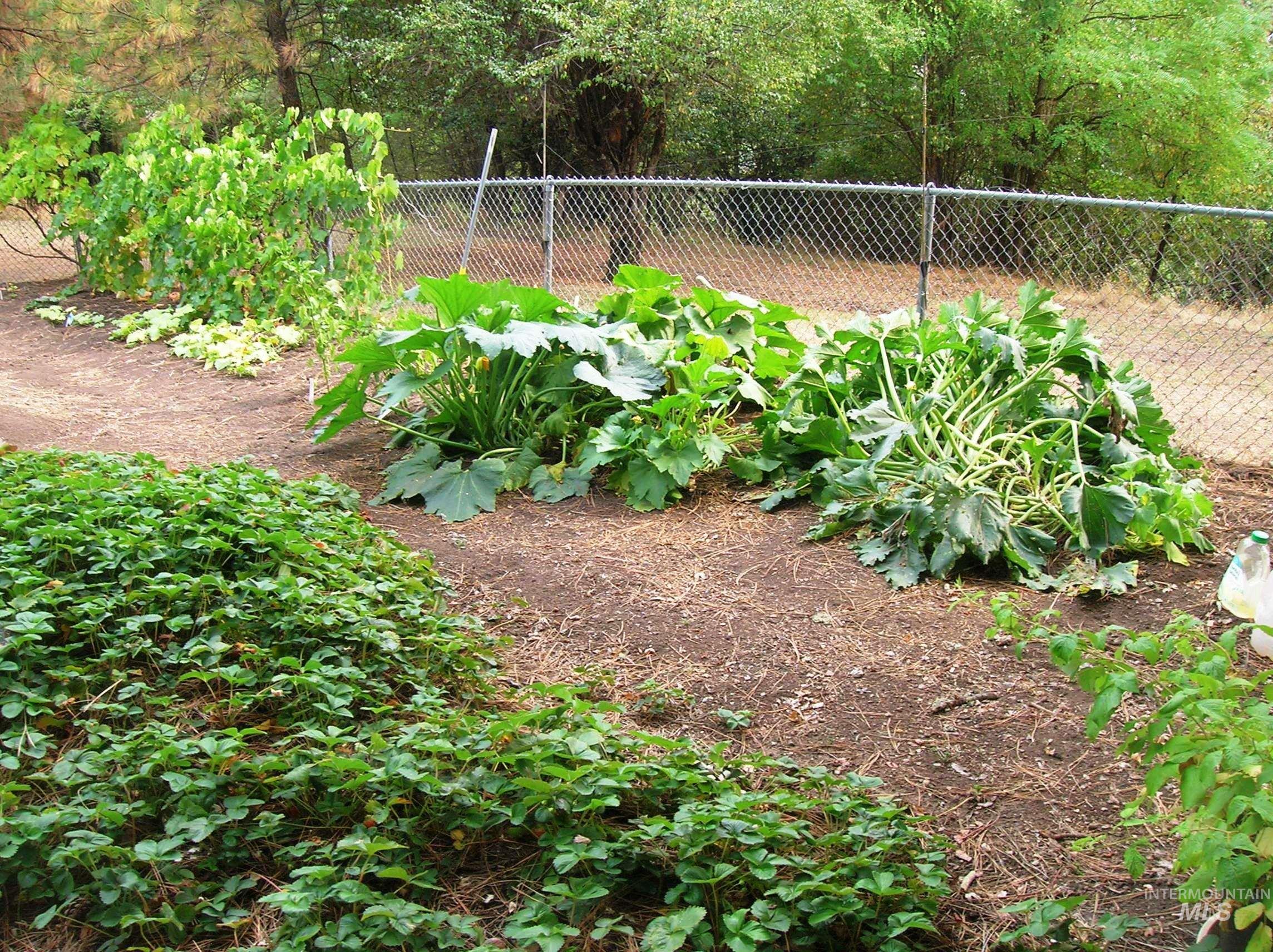 307 Locust Road Kamiah, ID 83536 - Photo 22 of 50 Cultivated garden beds with varied foliage and a chain-link fence border
