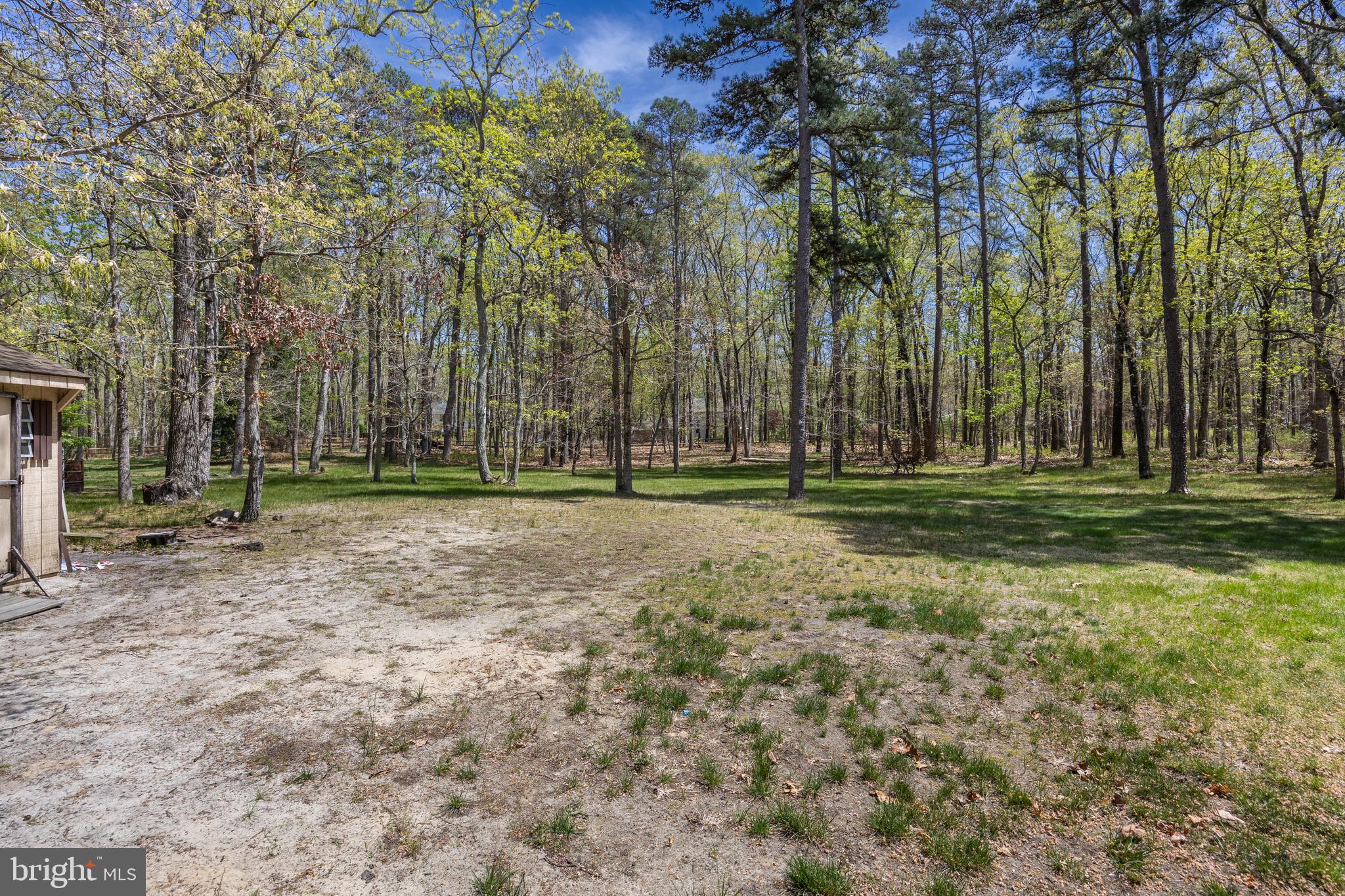 88 Oakshade Road Tabernacle, NJ 08088 - Photo 33 of 34 a view of a park with large trees