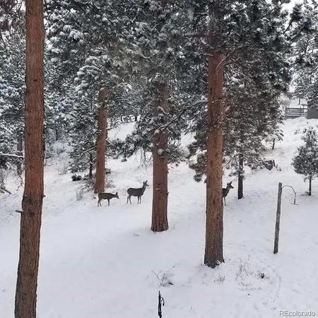 a view of a counter top with an empty room