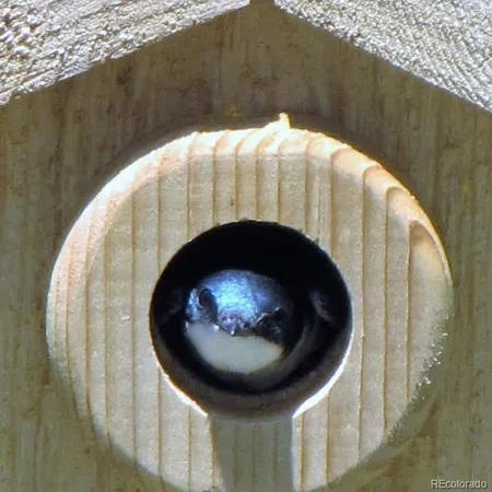 a view of an entryway