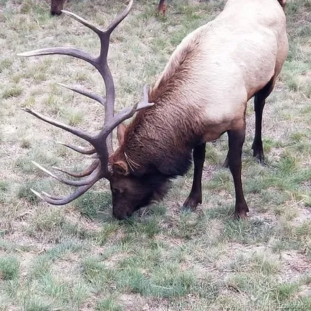 $1,000,000 | 13892 Douglass Ranch Drive, Pine, CO 80470