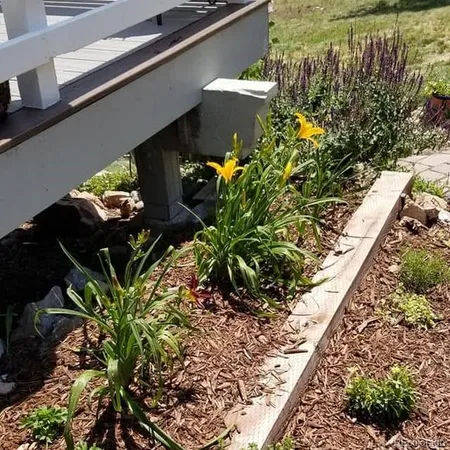 a bathroom with a toilet a sink and a window