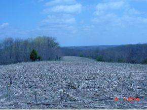 0 Braytown Road Vevay, IN 47043 - Photo 4 of 7