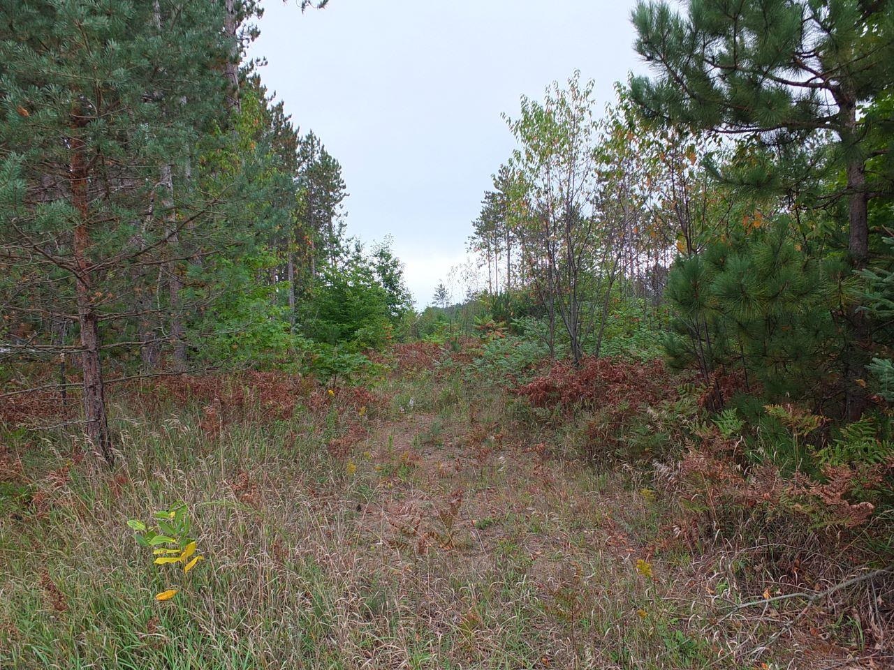 B2 A Coster Road Fife Lake, MI 49633 - Photo 1 of 17 Somewhat of drive in by road