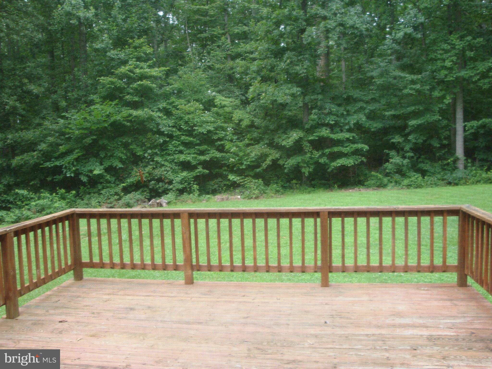 10671 River Road Rixeyville, VA 22737 - Photo 10 of 27 Exterior (General)