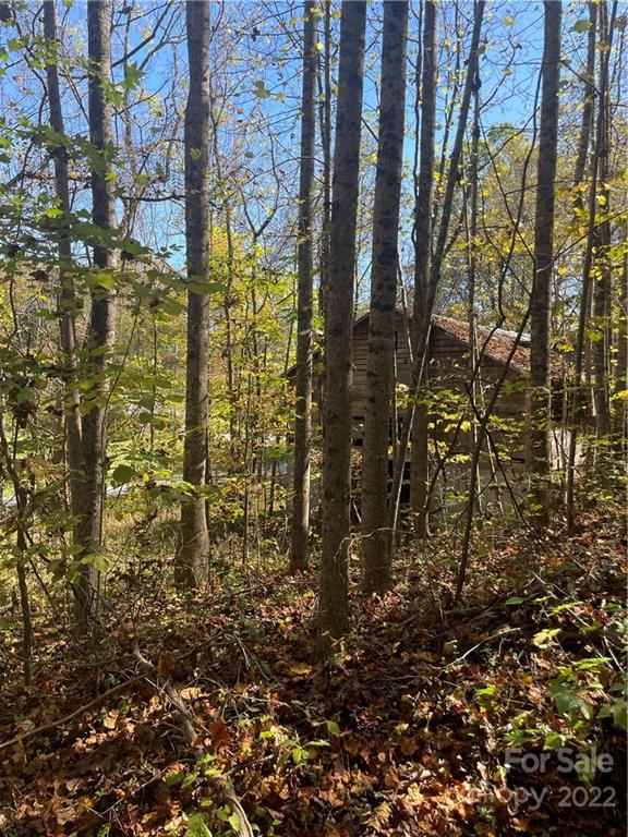 4962 Dentons Chapel Road, Unit 2 Morganton, NC 28655 - Photo 2 of 11 Gallery Image 2