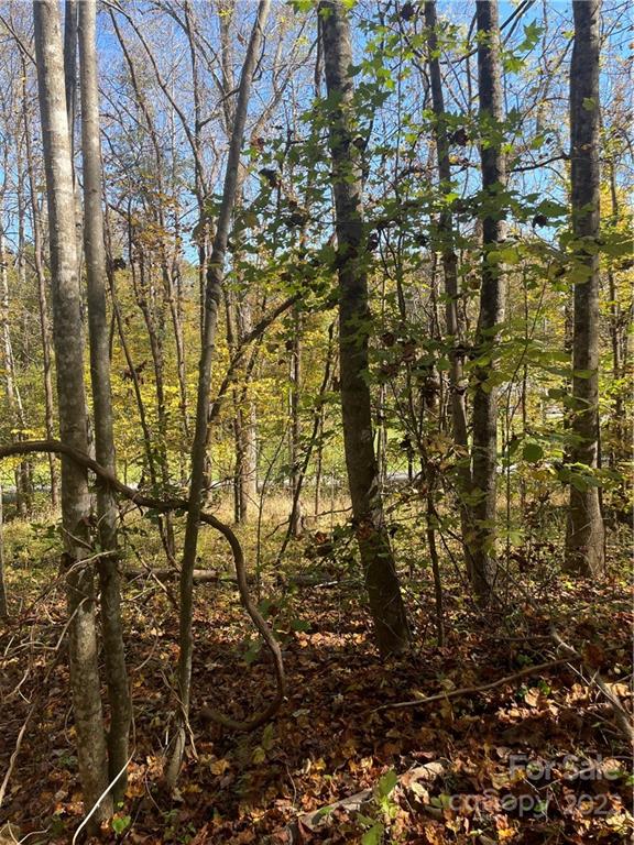 4962 Dentons Chapel Road, Unit 2 Morganton, NC 28655 - Photo 4 of 11 Gallery Image 4