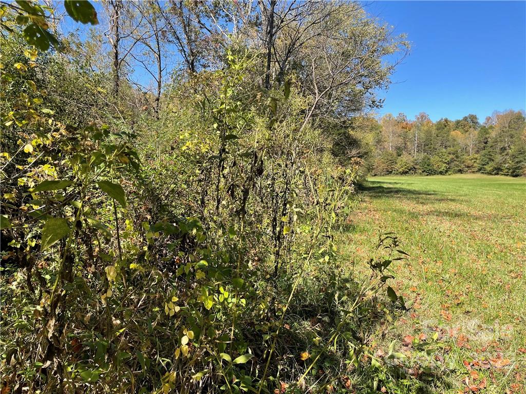 4962 Dentons Chapel Road, Unit 2 Morganton, NC 28655 - Photo 9 of 11 Gallery Image 9