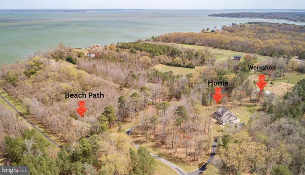 a view of house with a garden