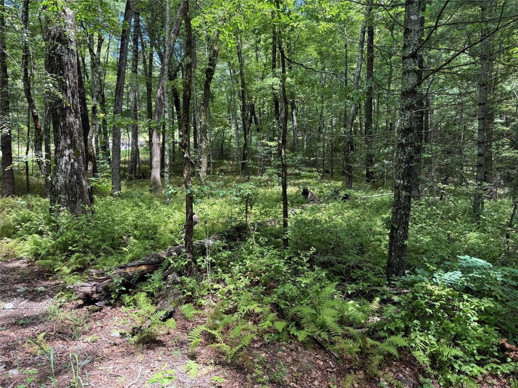 Lot112 Uplands Road Cashiers, NC 28717 - Photo 3 of 4 Gallery Image 3