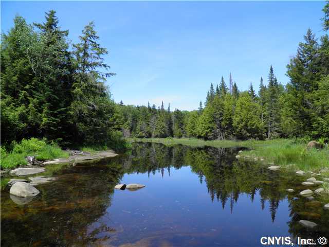 0 Unclemier Road Ohio, NY 13324 - Photo 1 of 1 Land