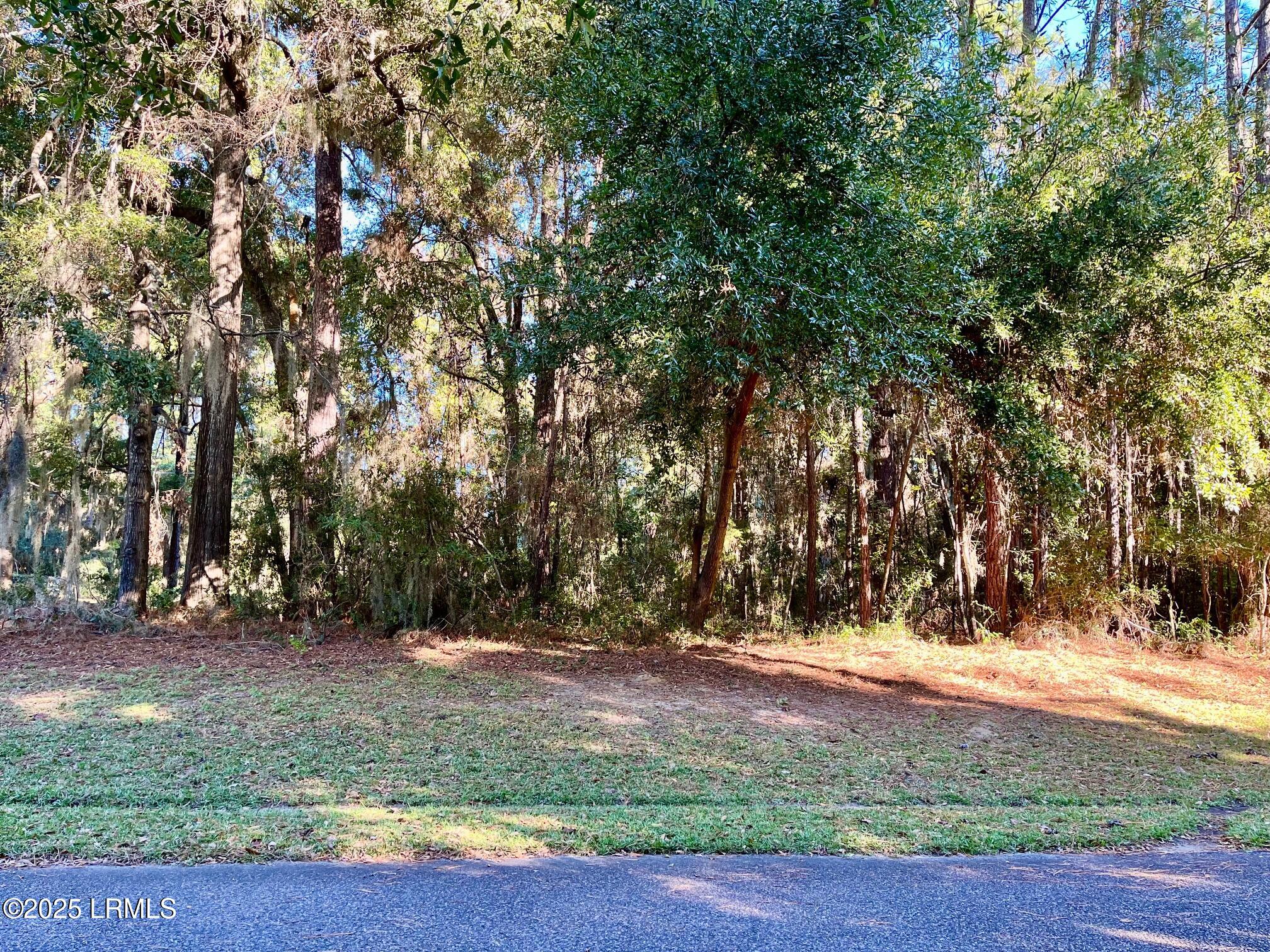 6 Shade Tree Lane Beaufort, SC 29907 - Photo 1 of 1 LC 5