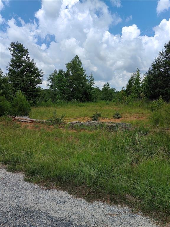 a view of a lake and green space