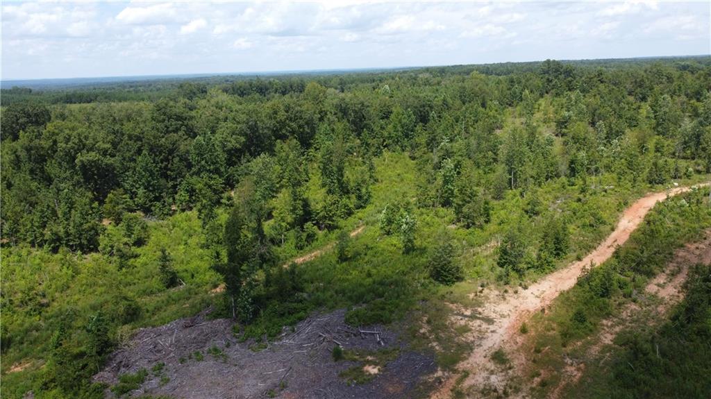 0 None Junction City, GA 31812 - Photo 12 of 12 a view of a lush green forest with lots of trees