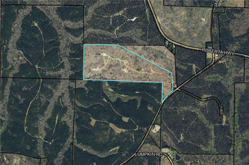 0 None Junction City, GA 31812 - Photo 2 of 12 an aerial view of residential house