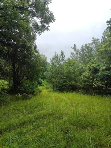 a view of a green yard