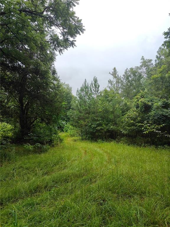 0 None Junction City, GA 31812 - Photo 3 of 12 a view of a green yard