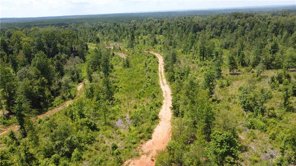 0 None Junction City, GA 31812 - Photo 5 of 12 a view of a forest with a street