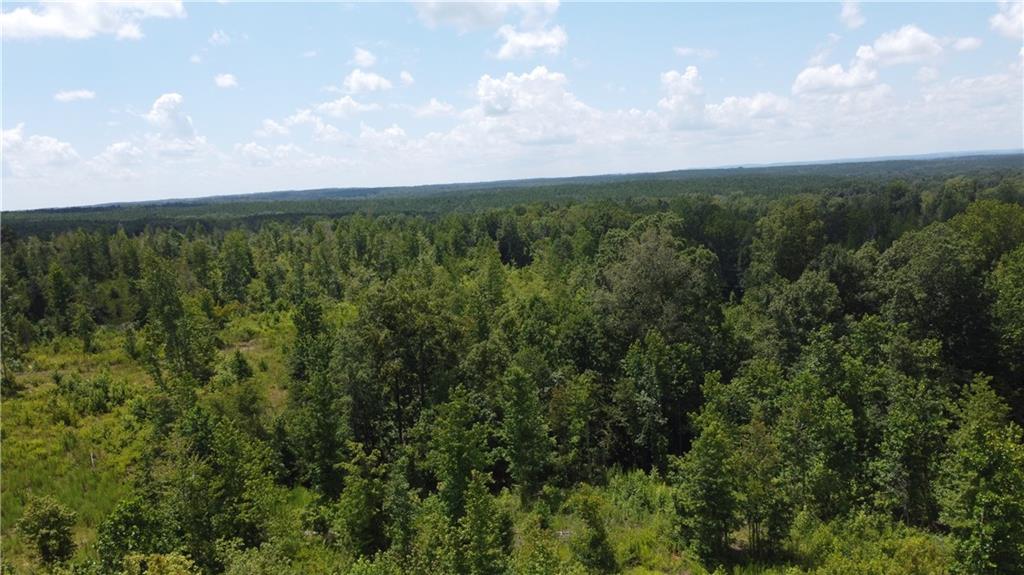 0 None Junction City, GA 31812 - Photo 6 of 12 a view of a city and lush green forest