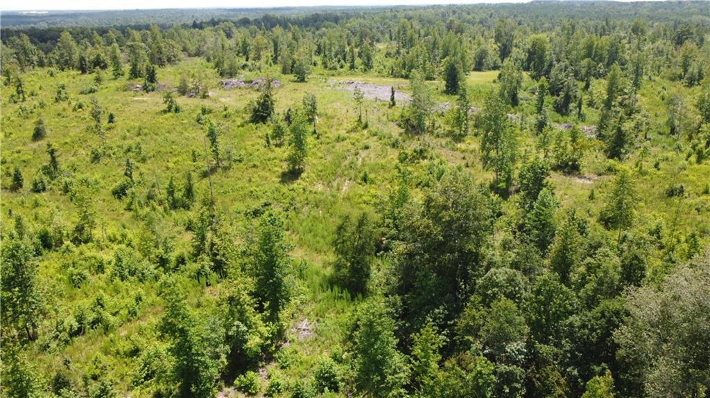 0 None Junction City, GA 31812 - Photo 8 of 12 a view of a lake view