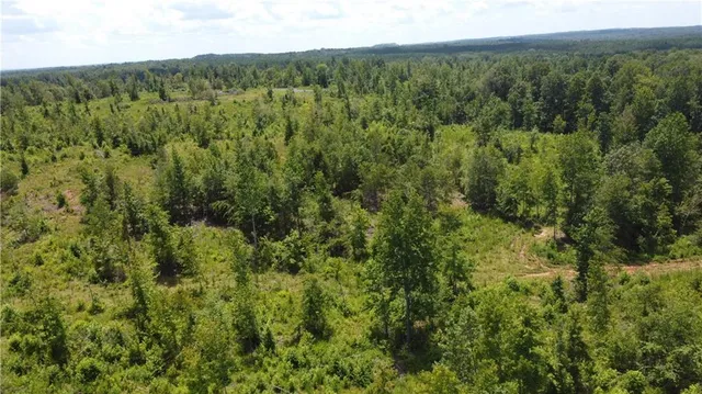 a view of a green field with lots of bushes