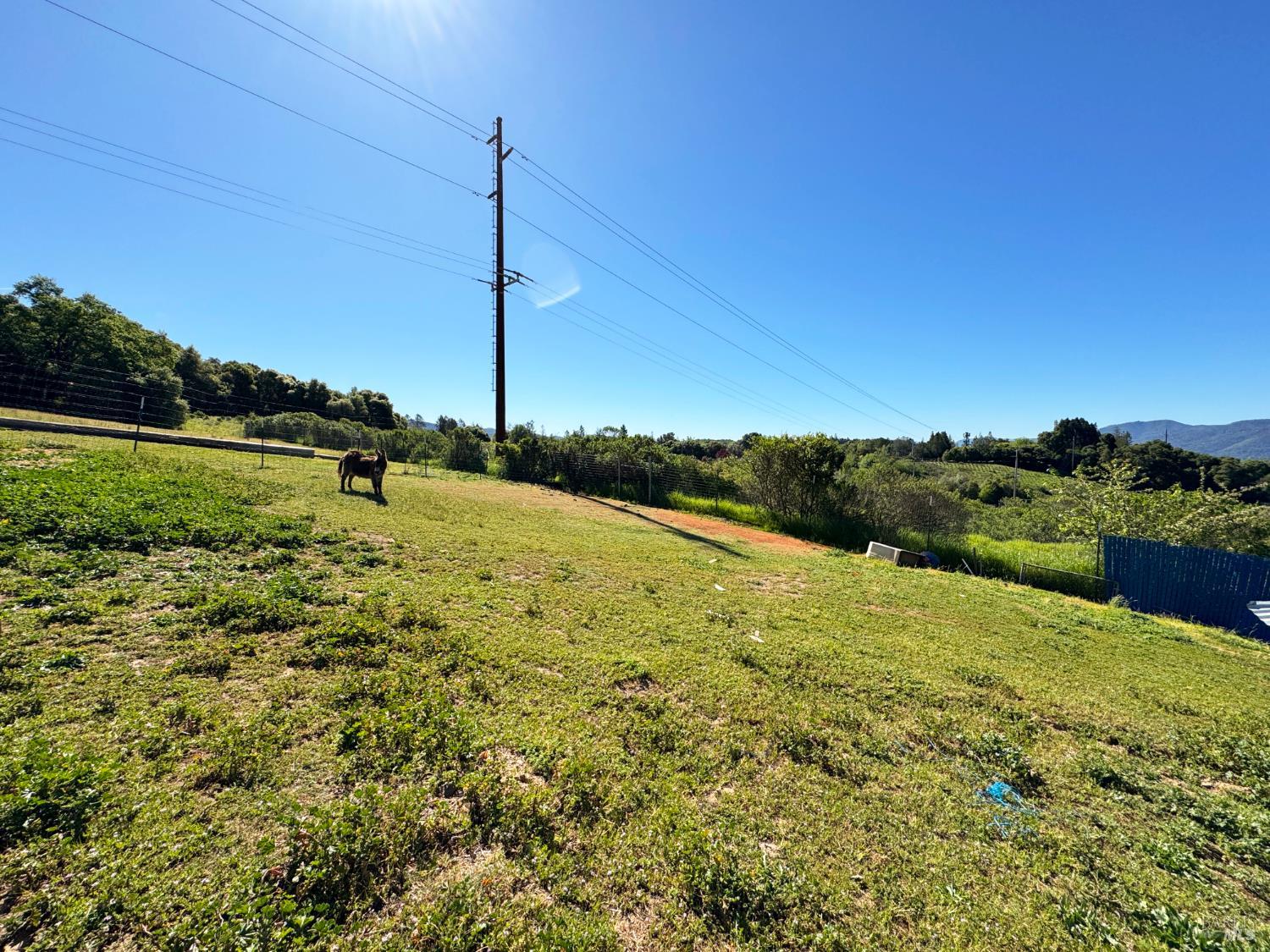 3981 Eastside Calpella Road Ukiah, CA 95482 - Photo 49 of 78 a view of an outdoor space and a yard