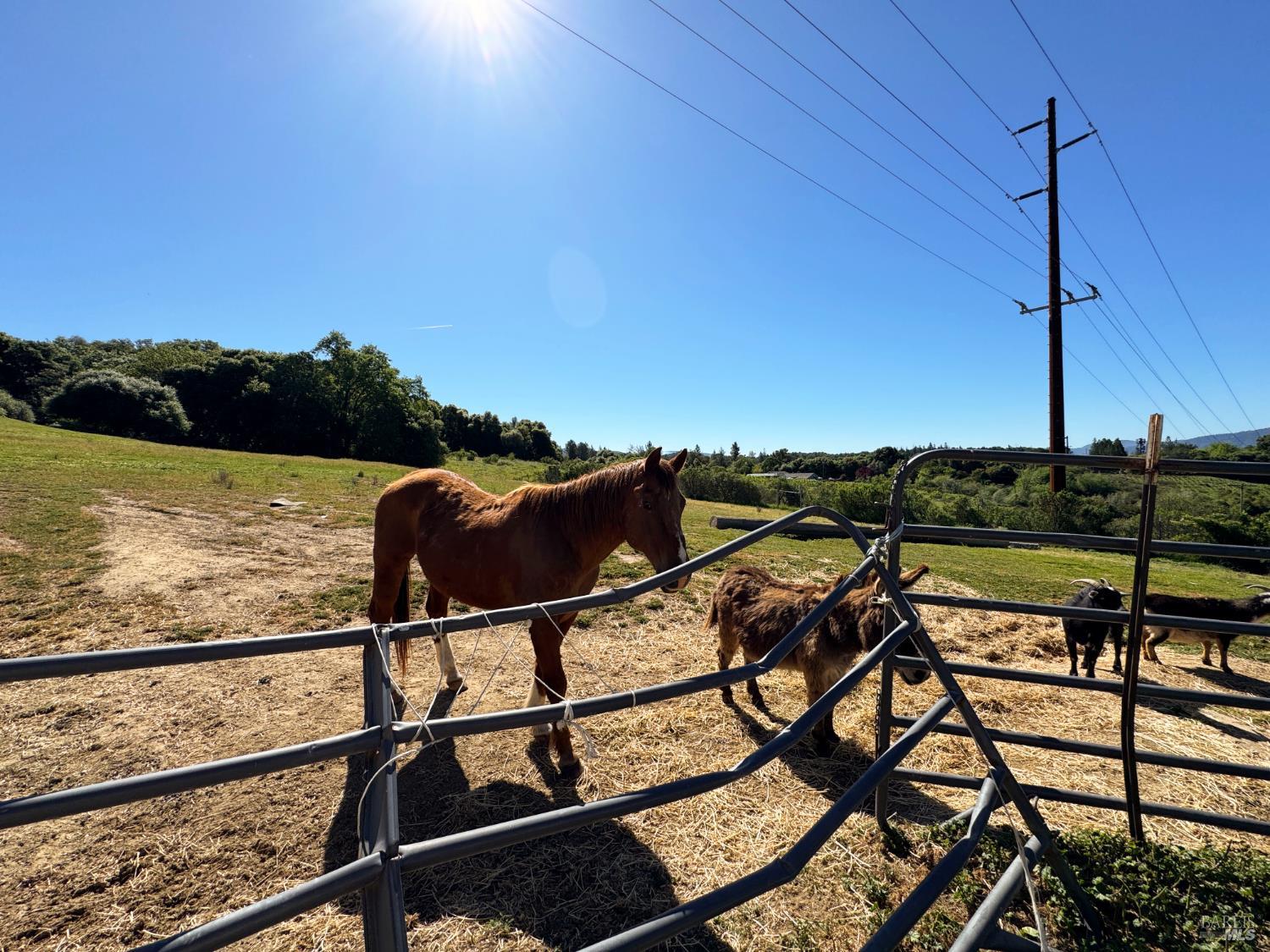 3981 Eastside Calpella Road Ukiah, CA 95482 - Photo 50 of 78